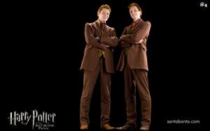 Harry Potter and the Half Blood Prince Harry Potter and the Half Blood Prince